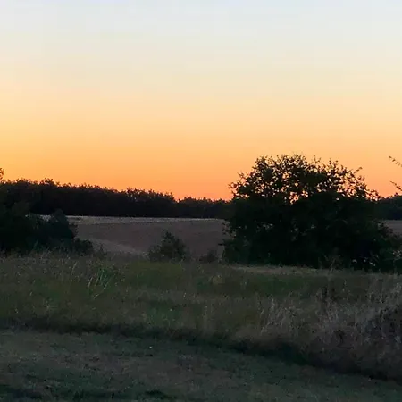 Daramousque Et Hébergement de vacances Monclar-de-Quercy