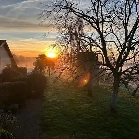 Daramousque Et Monclar-de-Quercy